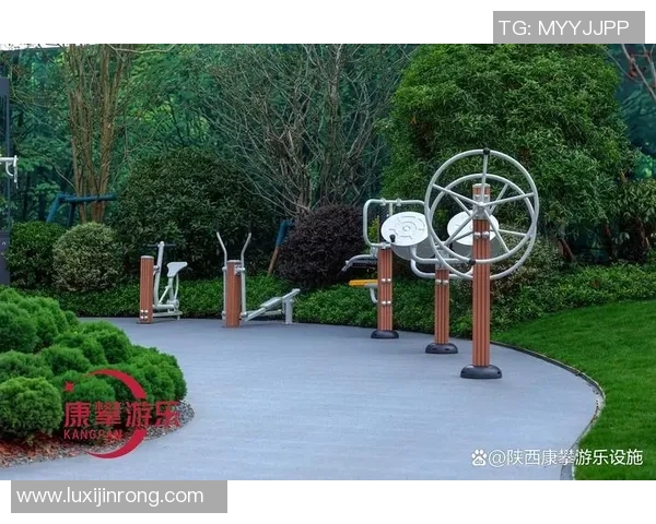 小区体育健身器材价格分析及购买建议助您选择合适设备