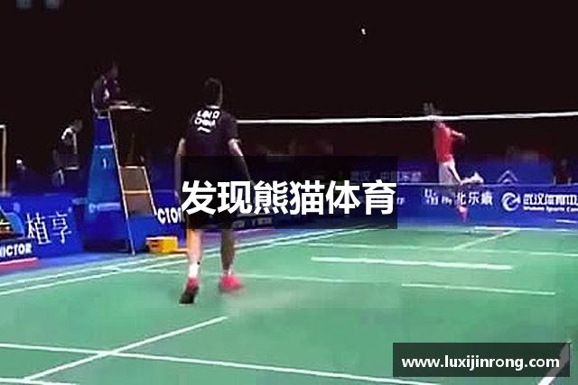 发现熊猫体育